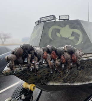 Lake Erie's Duck Hunt